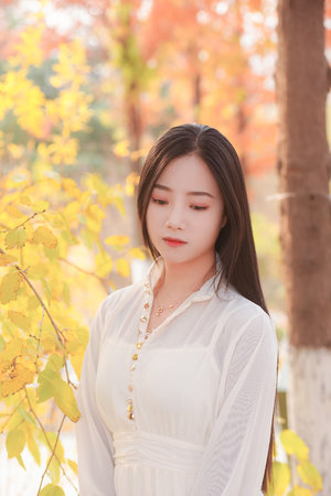 天坑鹰猎电视剧免费观看完整版