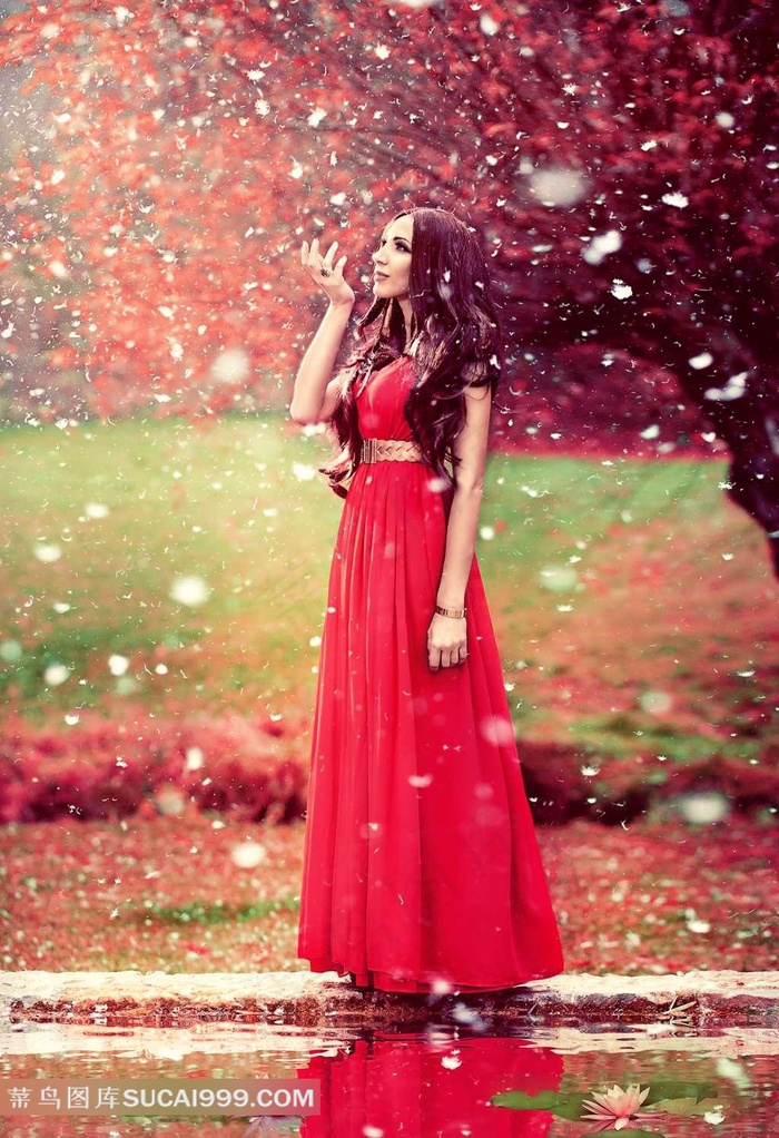 燃烧的玫瑰第1集