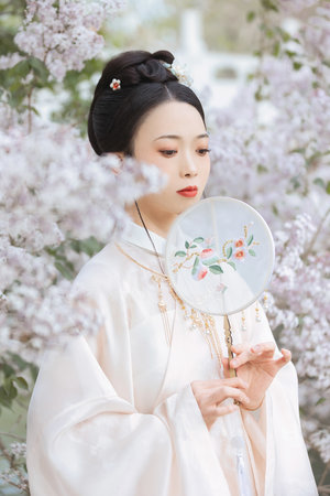 红蝴蝶在线观看