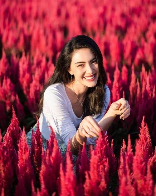 天堂w网站在线入口