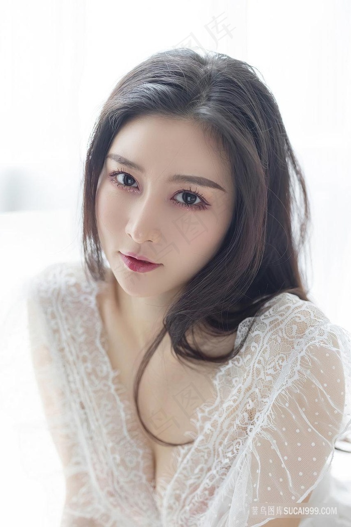 太阁立志传5服部半藏