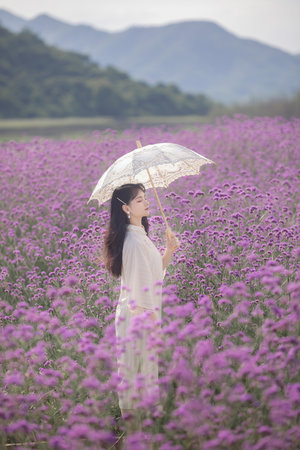 美女总裁的冷血保镖