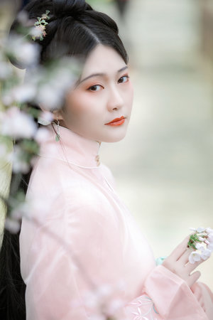 向风而行免费观看全集多少集