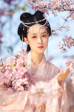 且试天下38集电视剧免费观看