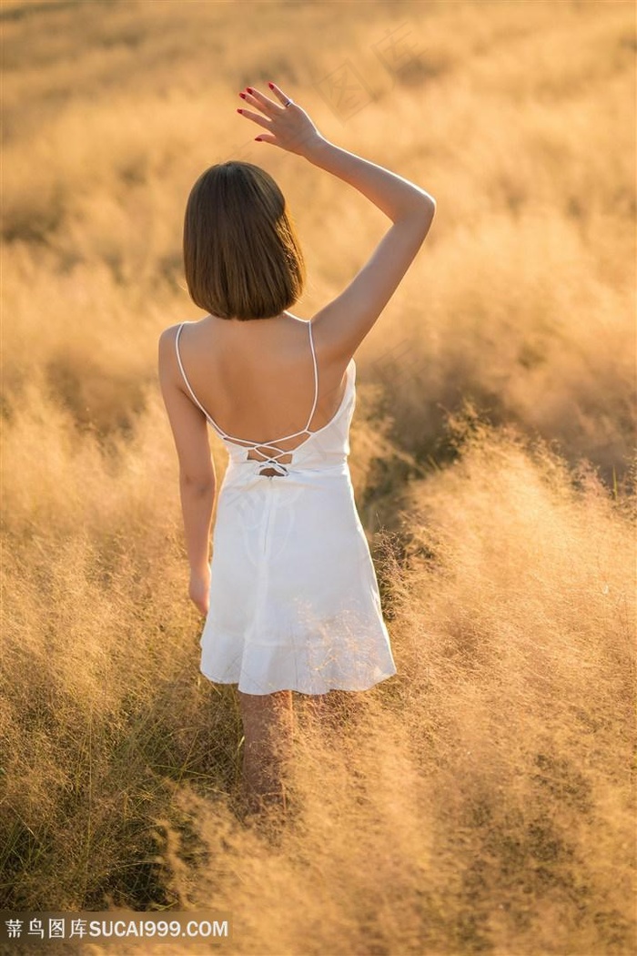 美人鱼电影免费观看完整版视频