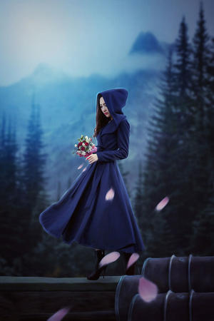 ((丰满老女人》伦理HD