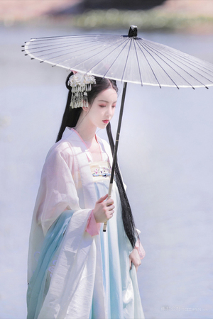 李连杰电影大全400部