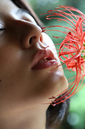 爱的秘笈电视剧全集免费观看