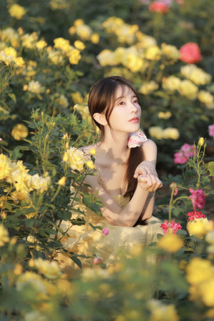 鲁大师视频在线观看免费播放