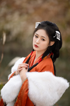 电视剧楚汉传奇