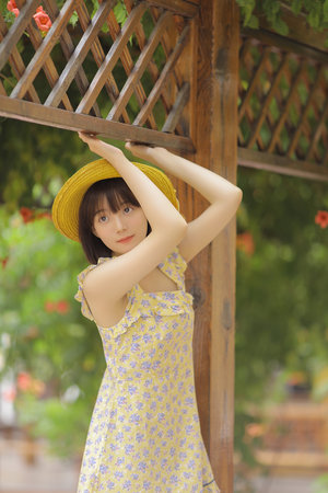 2008天天操夜夜操