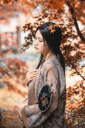 海贼王在线观看免费全集