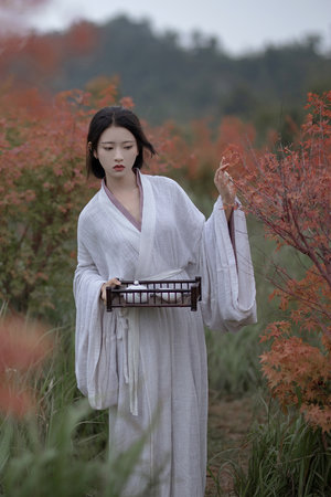 粉红女郎韩国电影免费观看