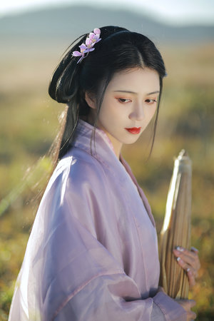 莲花宝鉴无删减在线看