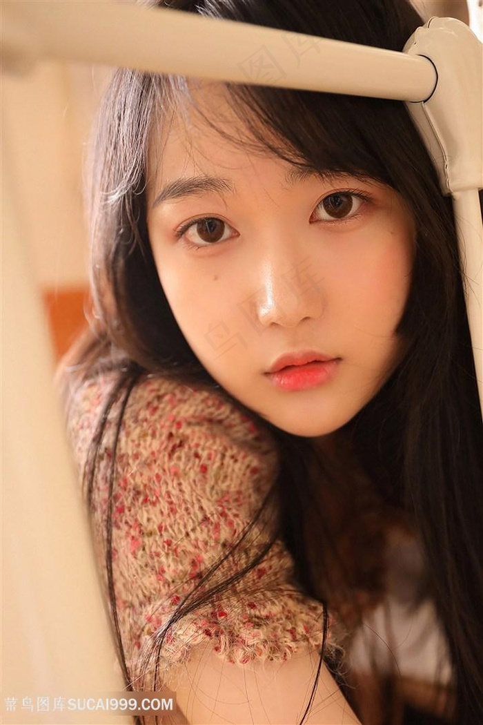 噼里啪啦国语在线观看高清资源