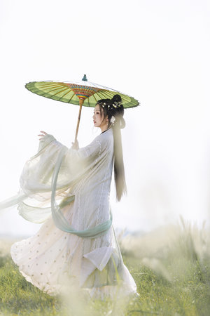 derpixon动画在线观看