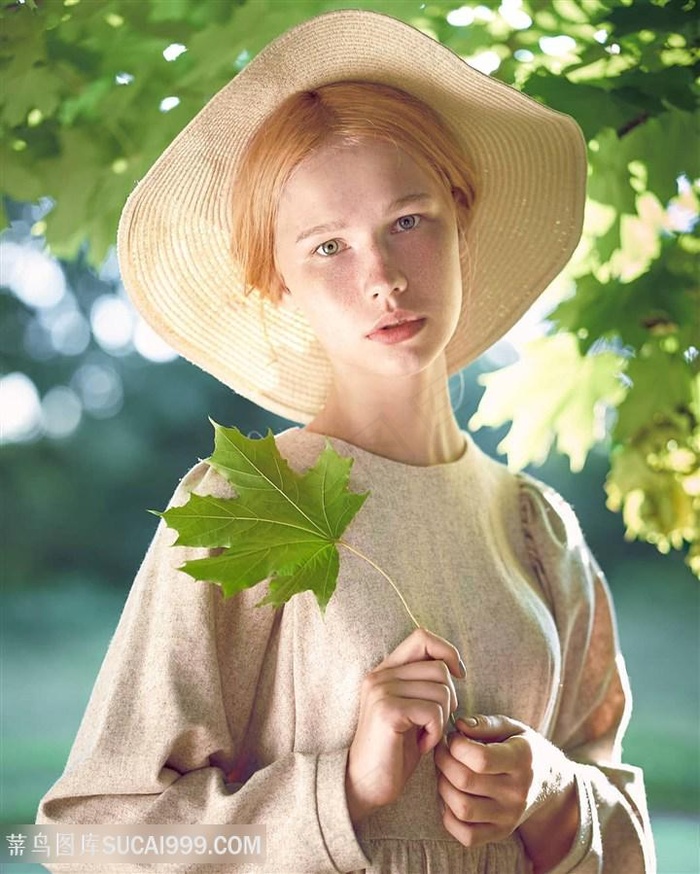 易伤秋者综网的版本