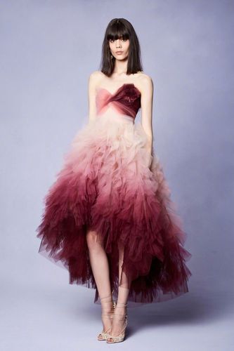 小花仙秋季篇免费观看完整版