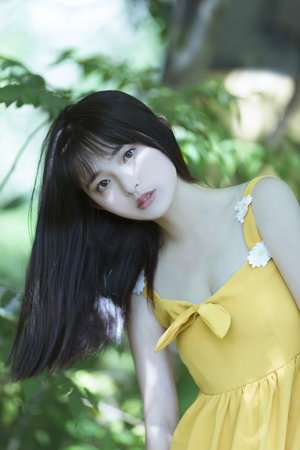 给爱丽丝的奇迹