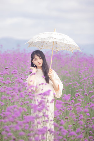 97免费在线视频