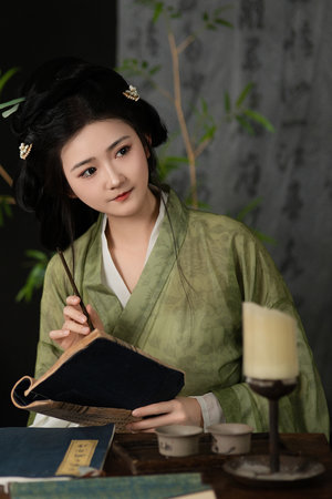 成人本站只提供WEB页面服务