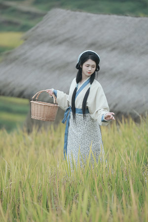 爱布里奇电视剧大全免费观看