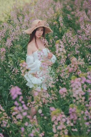 单田芳白眉大侠320回评书网