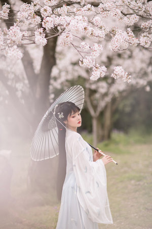 在线观看国产xo激情视频下载