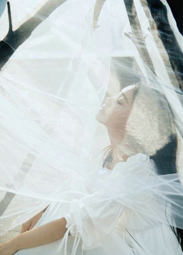 霸道太子s调教小鲜肉gay