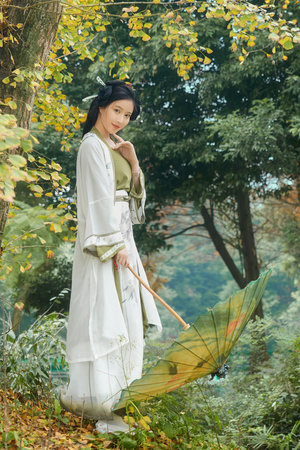 沧元图60集完整版