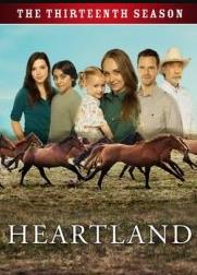 心灵之地第十三季