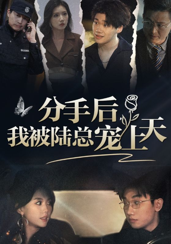 分手后，我被陆总宠上天