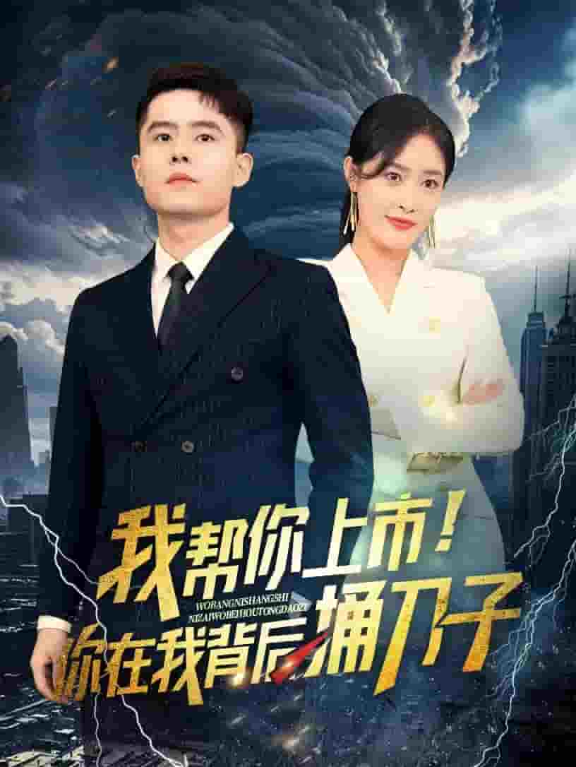 我帮你上市！你在我背后捅刀子