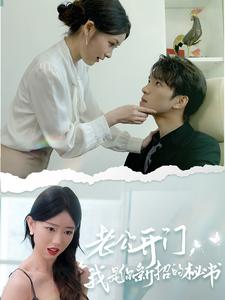 老公开门，我是你新招的秘书