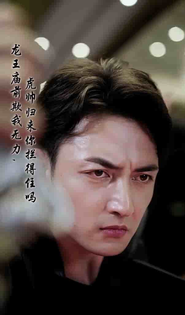 龙王庙前欺我无力，虎帅归来你拦得住吗