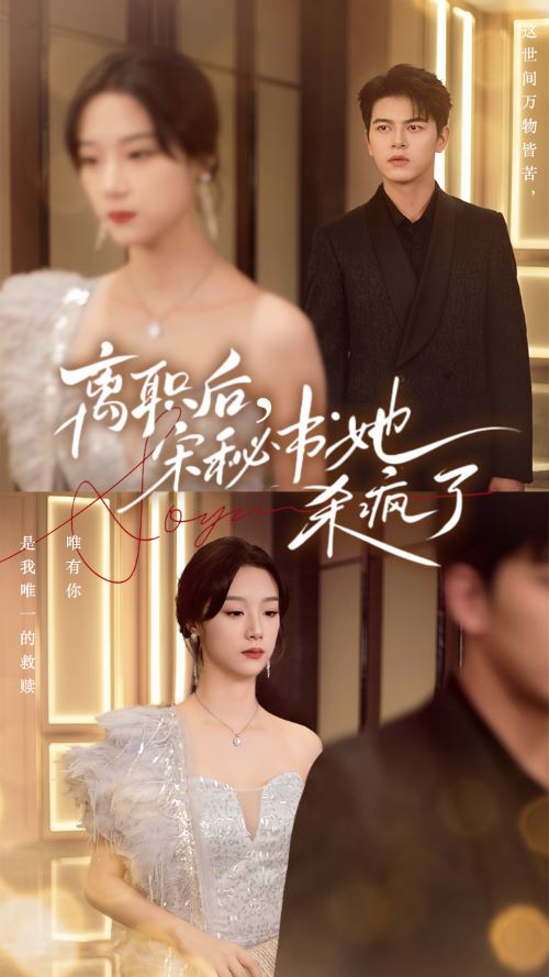 离职后，宋秘书她杀疯了