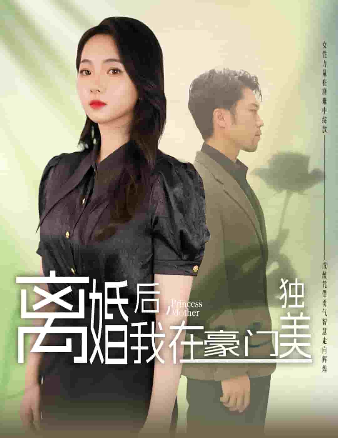 离婚后，我在豪门独美