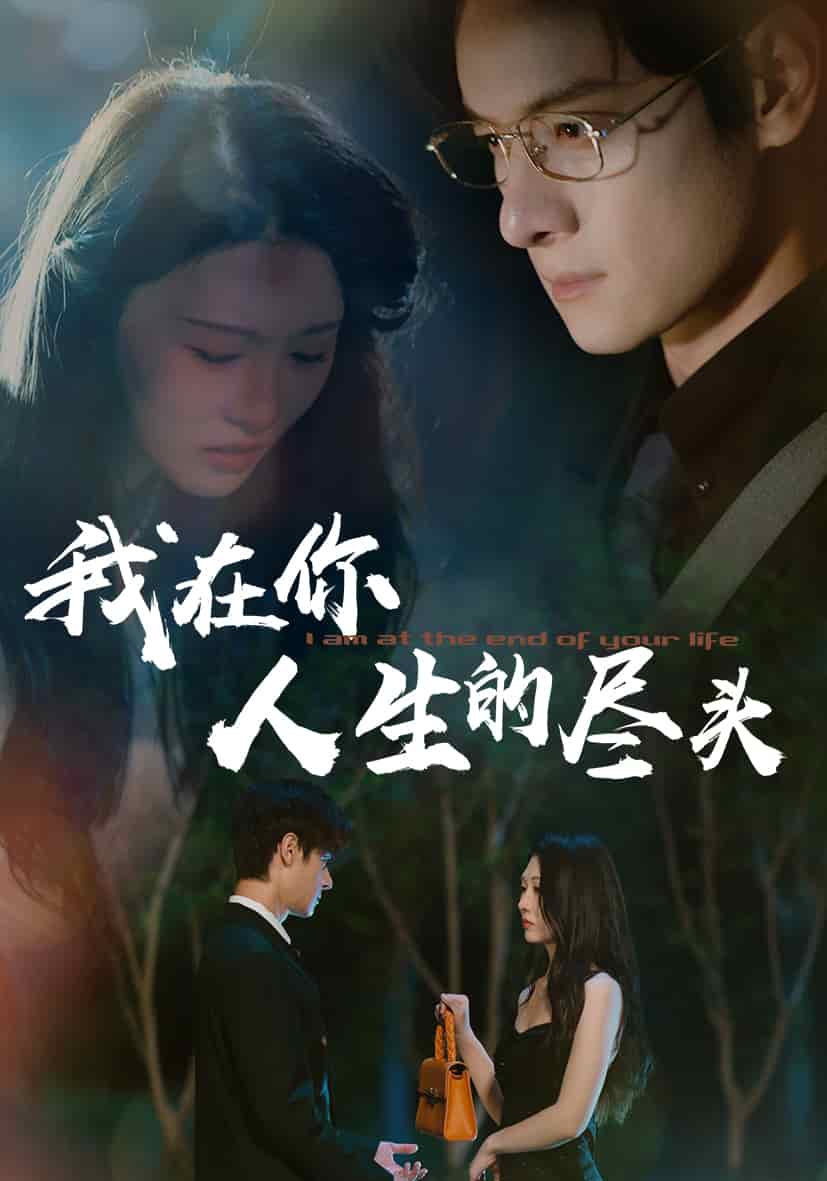 我在你人生的尽头