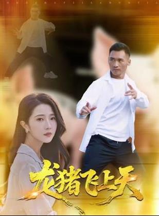 龙猪飞上天