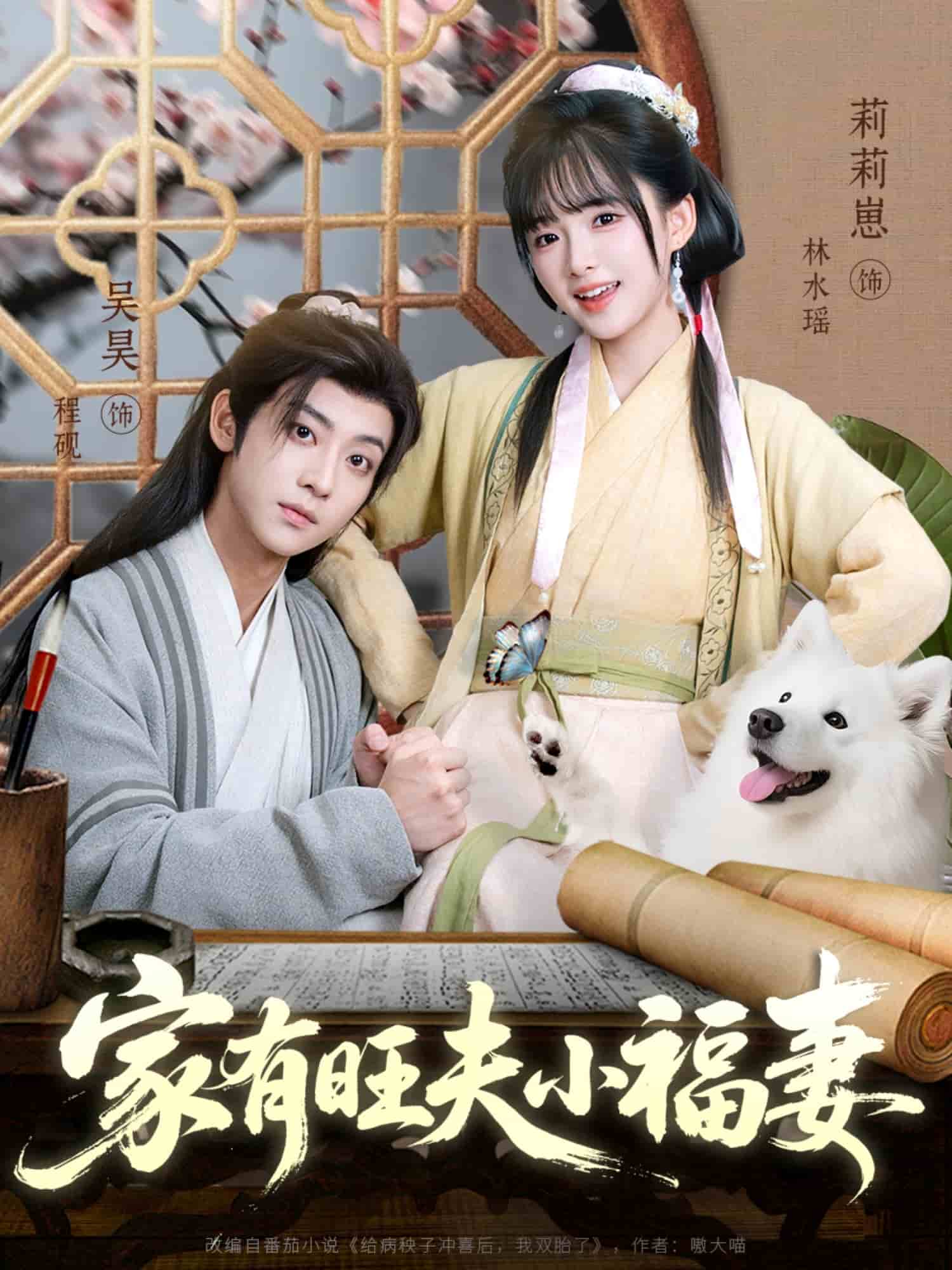 家有旺夫小福妻