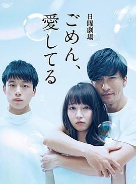 对不起，我爱你2017