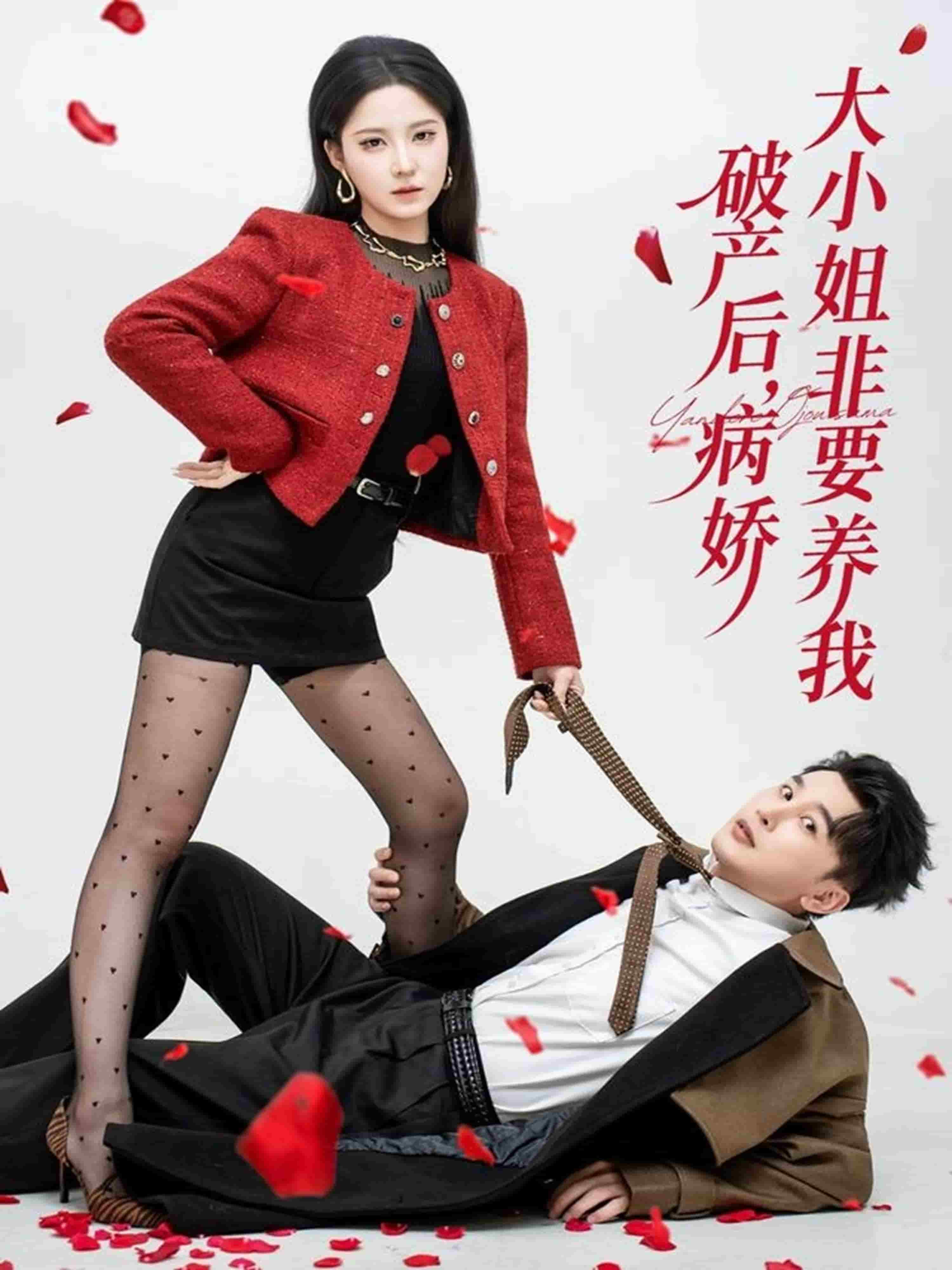 破产后病娇大小姐非要养我