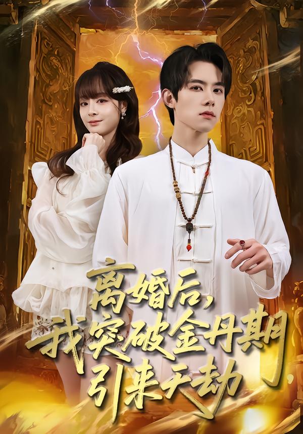 离婚后，我突破金丹期，引来天劫