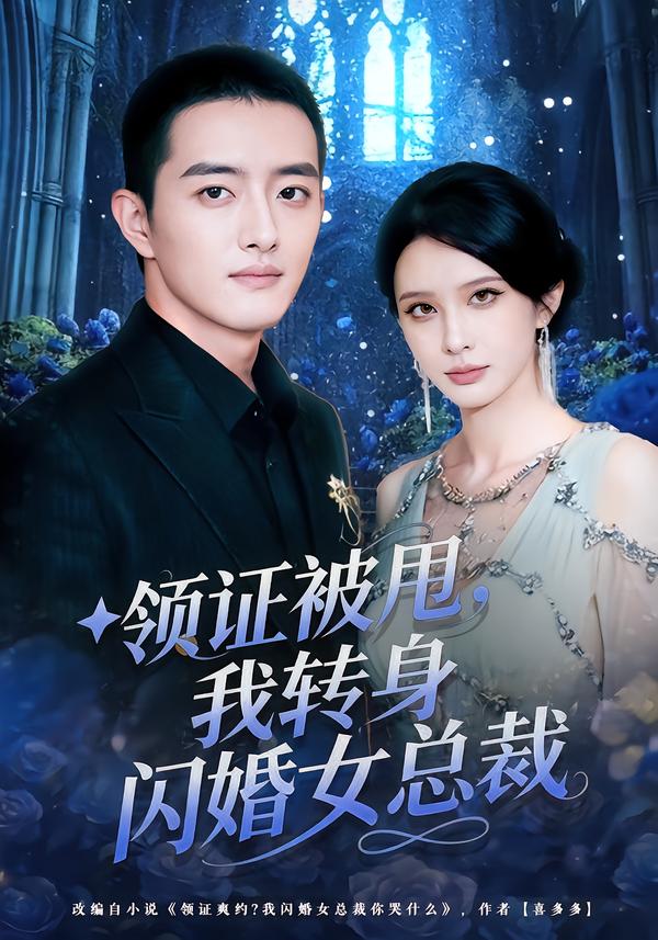 领证被甩，我转身闪婚女总裁