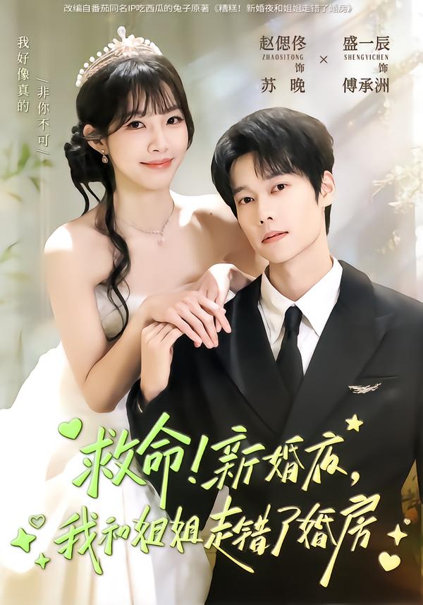救命！新婚夜，我和姐姐走错了婚房