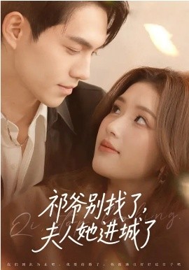 祁爷别找了，夫人她进城了