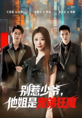 别惹少爷，他姐是宠弟狂魔